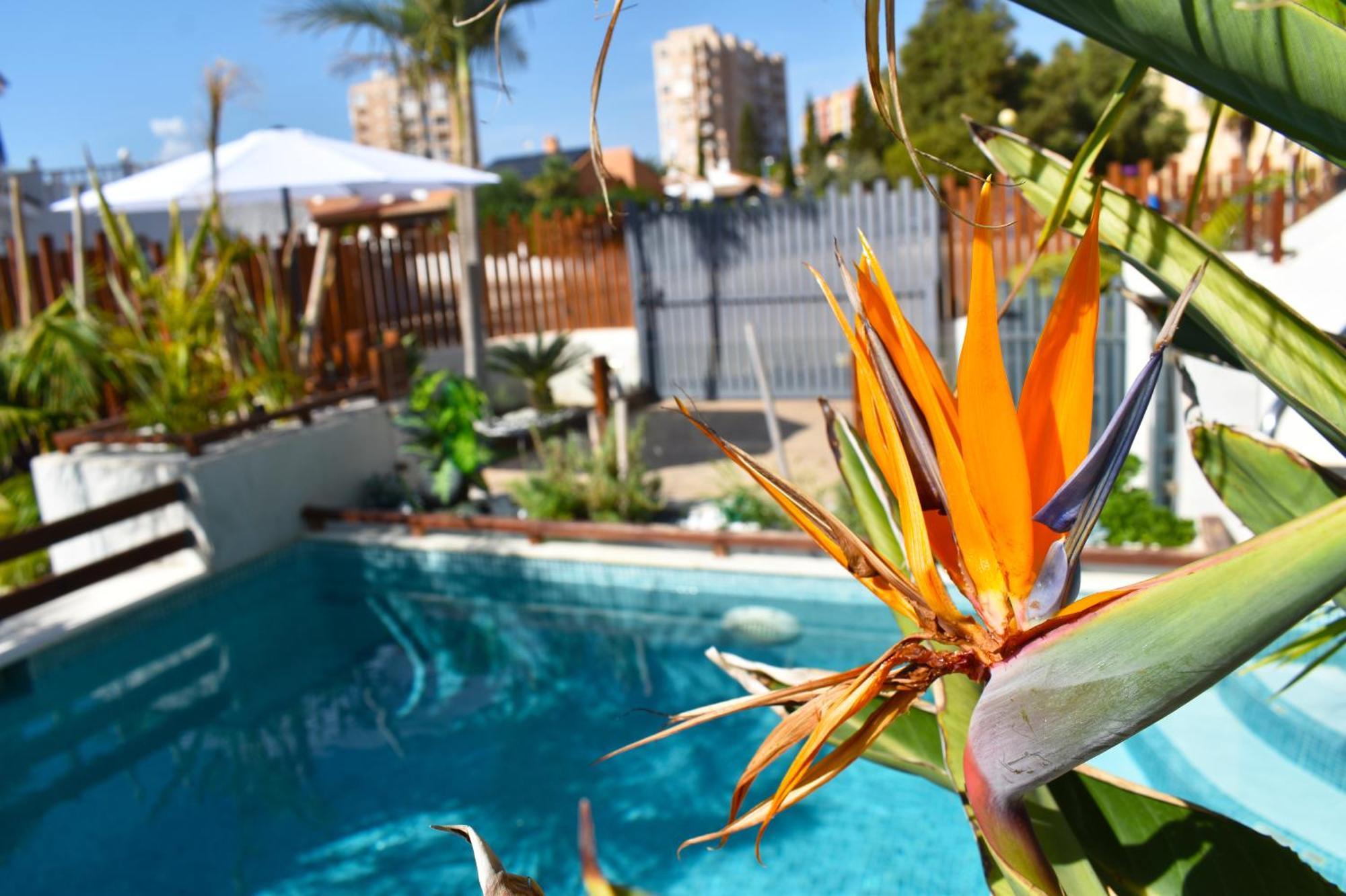 Apart Turisticos Marine Rest La Manga Mar Menor Piscinas Privadas Playa Paraiso  Exterior photo